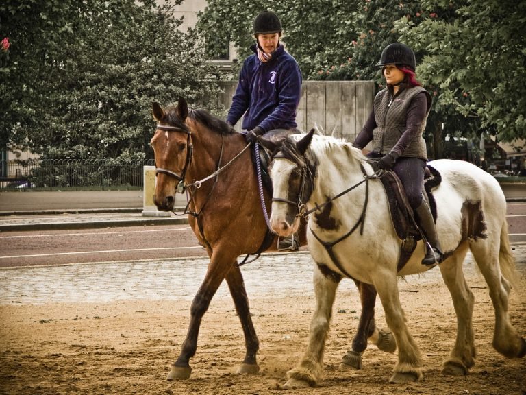 Horse Ride