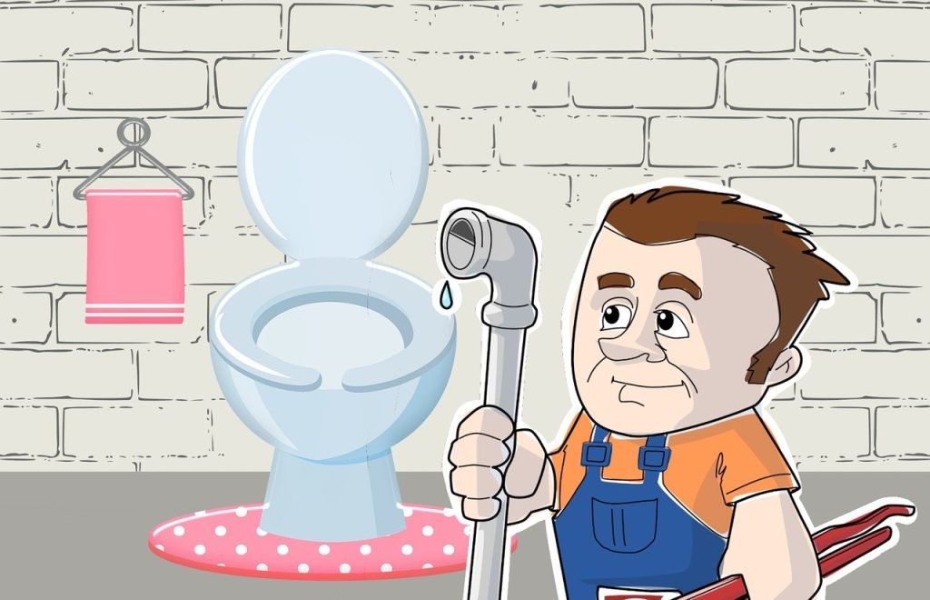 What Steps Can I Take To Prevent Plumbing Issues?
